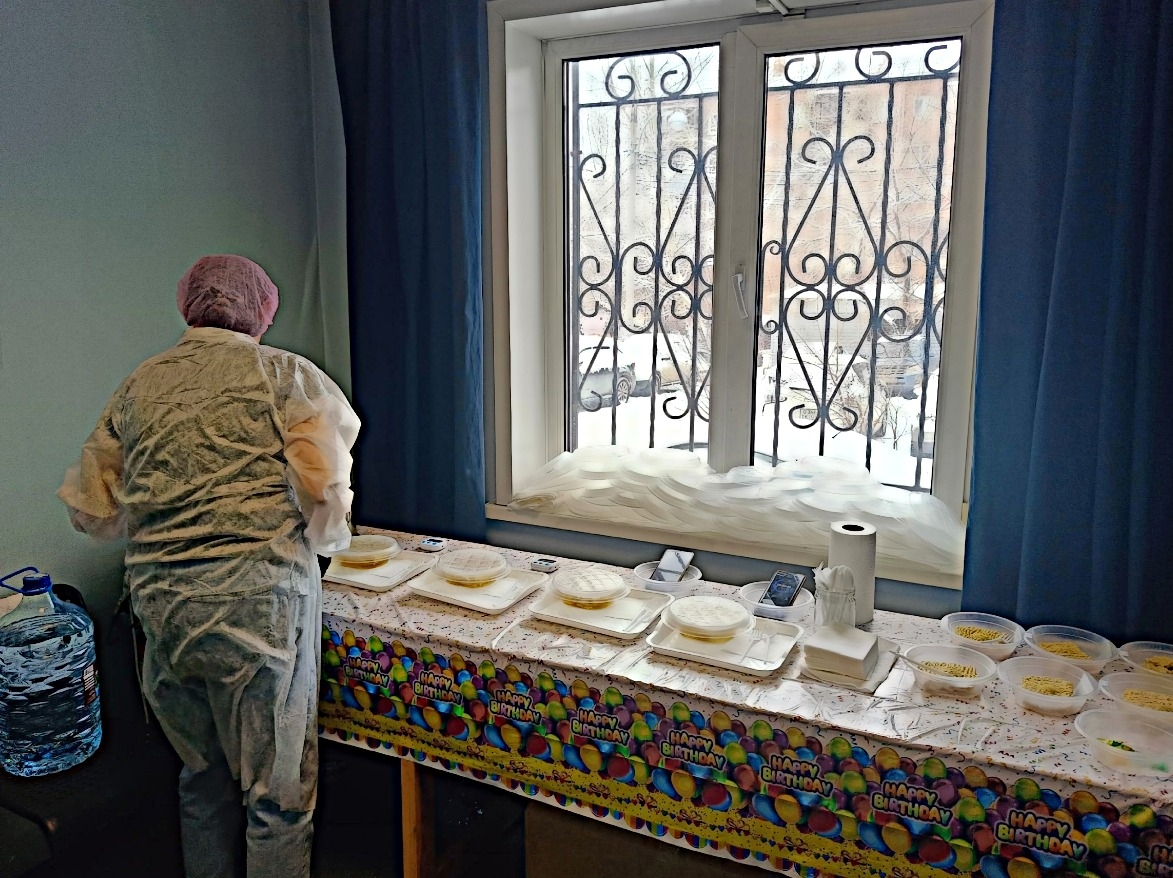 2026 год начался с масштабного проекта